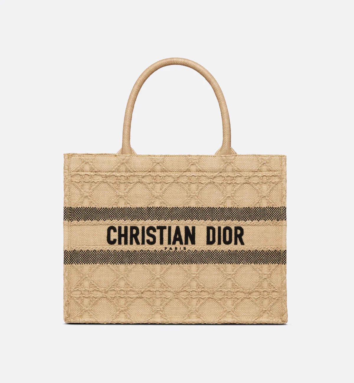 Dior Medium Book Tote Bag